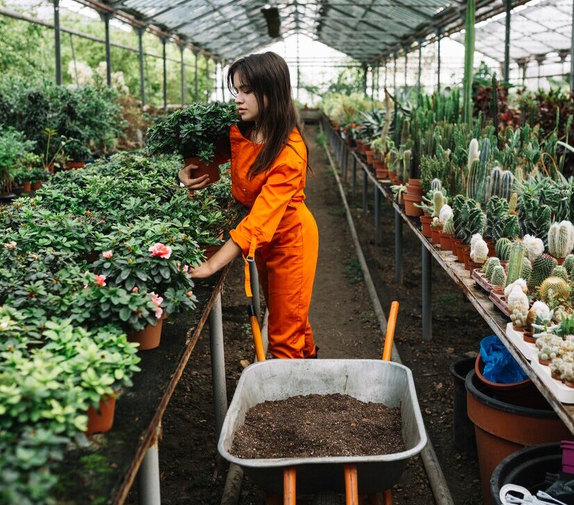 Best Gardening Services in Hyderabad